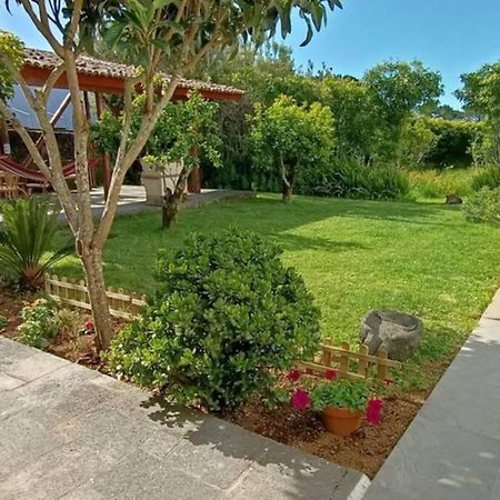 Casa Azores Zen Ribeira Grande Kültér fotó