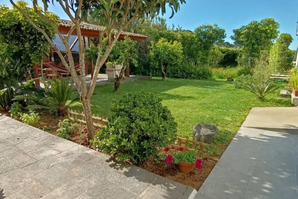 Casa Azores Zen Ribeira Grande Kültér fotó